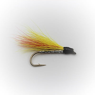 Fly Fishing